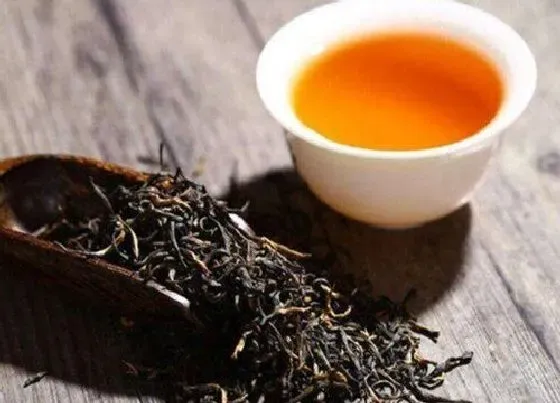 叶子|什么样的红茶才是好茶叶（最好喝的红茶是什么茶色）