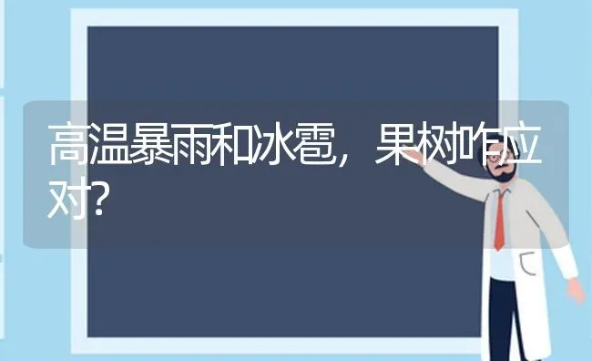 高温暴雨和冰雹，果树咋应对？ | 瓜果种植