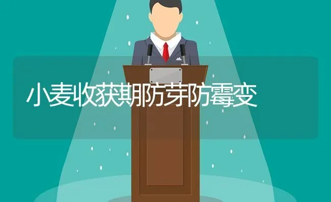 小麦收获期防芽防霉变 | 粮油作物种植