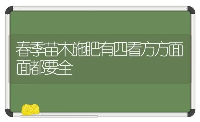 春季苗木施肥有四看方方面面都要全 | 种植肥料施肥