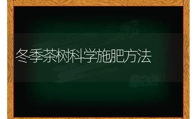 冬季茶树科学施肥方法 | 种植肥料施肥