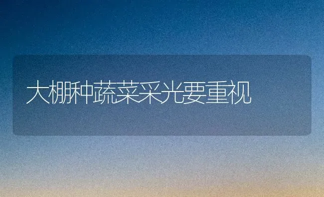大棚种蔬菜采光要重视 | 蔬菜种植