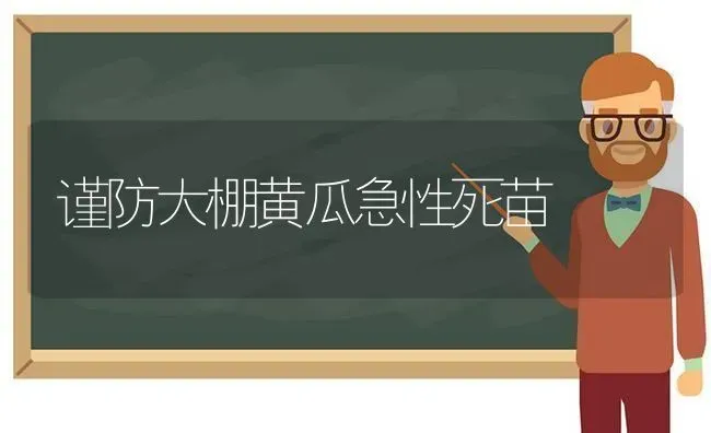 谨防大棚黄瓜急性死苗 | 蔬菜种植