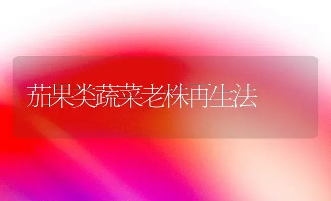 茄果类蔬菜老株再生法 | 蔬菜种植