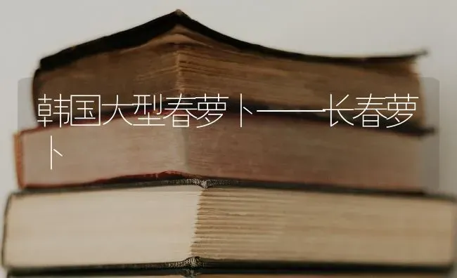 韩国大型春萝卜——长春萝卜 | 蔬菜种植