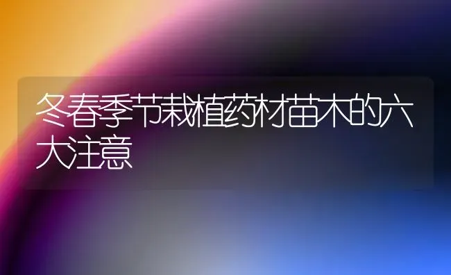 冬春季节栽植药材苗木的六大注意 | 药材种植