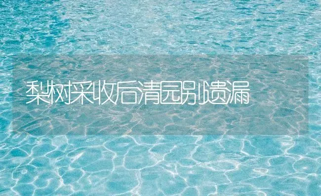 梨树采收后清园别遗漏 | 瓜果种植
