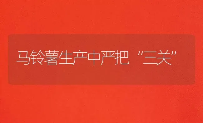马铃薯生产中严把“三关” | 粮油作物种植