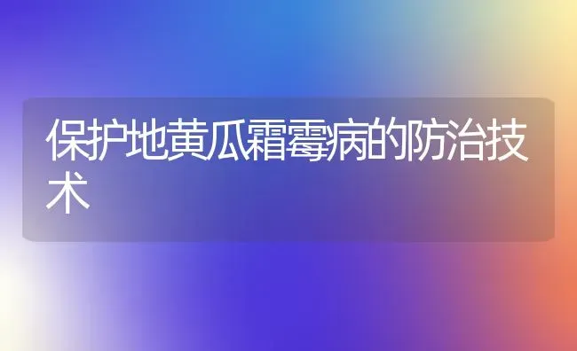 保护地黄瓜霜霉病的防治技术 | 蔬菜种植