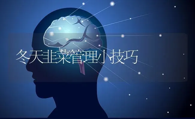 冬天韭菜管理小技巧 | 蔬菜种植