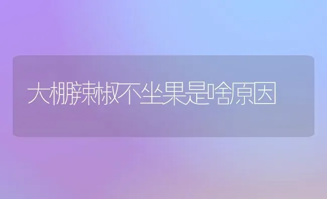 大棚辣椒不坐果是啥原因 | 瓜果种植