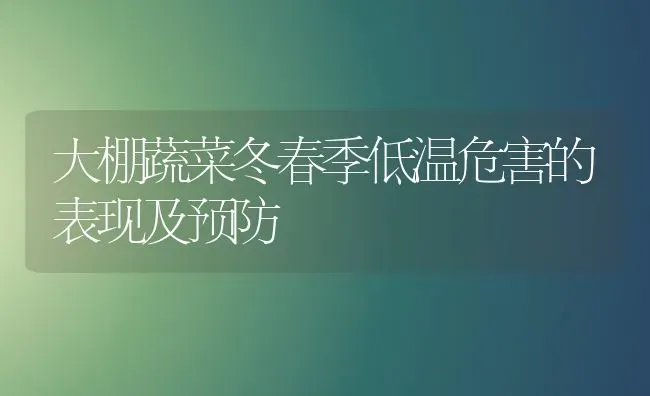 大棚蔬菜冬春季低温危害的表现及预防 | 蔬菜种植