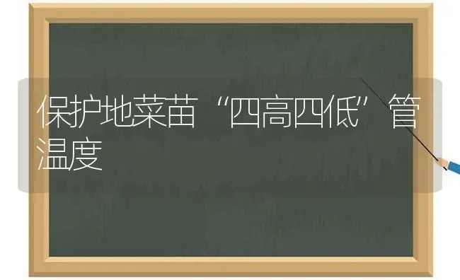 保护地菜苗“四高四低”管温度 | 蔬菜种植