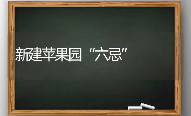 新建苹果园“六忌” | 瓜果种植