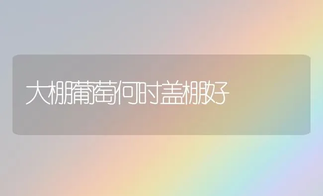 大棚葡萄何时盖棚好 | 瓜果种植