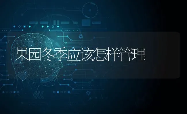 果园冬季应该怎样管理 | 瓜果种植