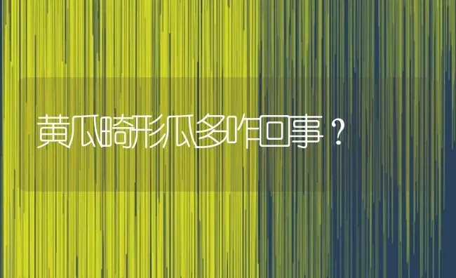 黄瓜畸形瓜多咋回事？ | 蔬菜种植