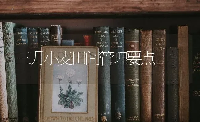 三月小麦田间管理要点 | 粮油作物种植