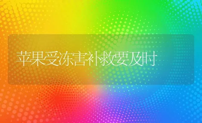 苹果受冻害补救要及时 | 瓜果种植