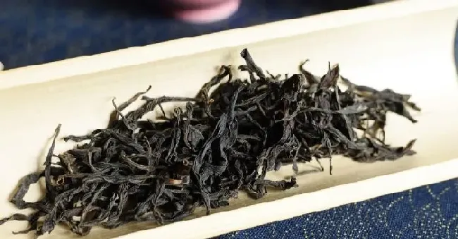 食用常识|正山小种类属于什么茶类型