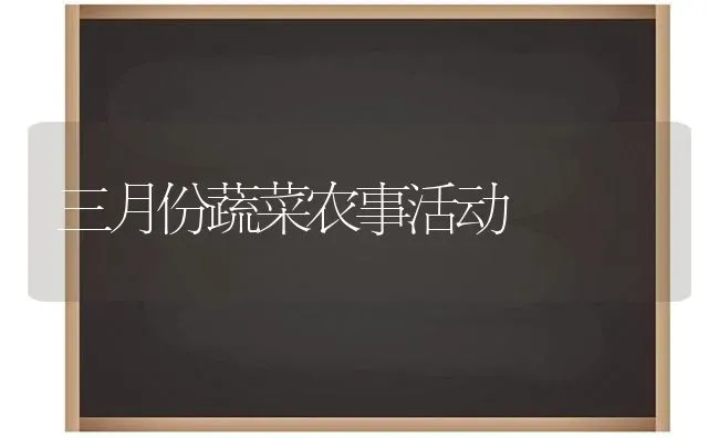 三月份蔬菜农事活动 | 蔬菜种植