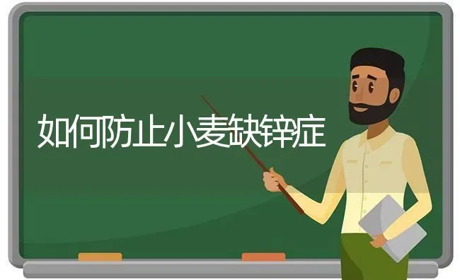如何防止小麦缺锌症 | 粮油作物种植