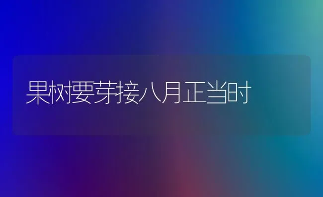 果树要芽接八月正当时 | 瓜果种植