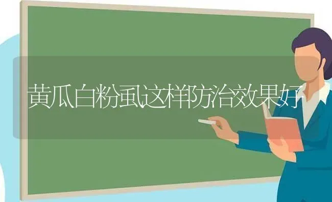 黄瓜白粉虱这样防治效果好 | 瓜果种植