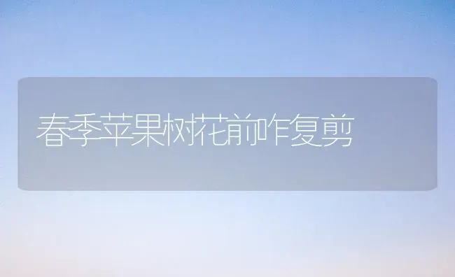 春季苹果树花前咋复剪 | 瓜果种植