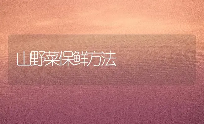 提高秋茬菜效益 做好管理防旺长 | 蔬菜种植