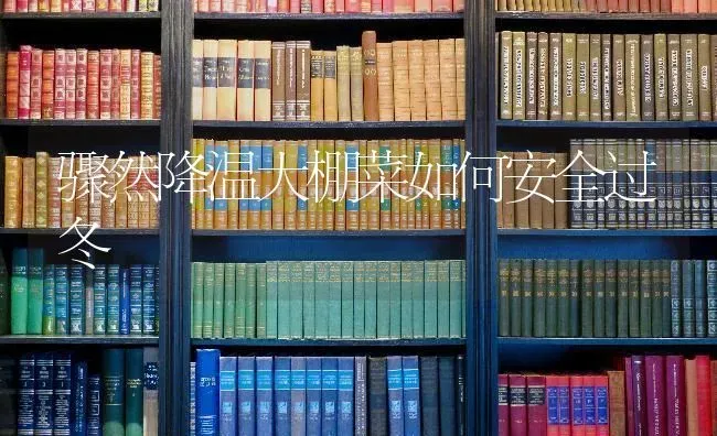 玉米花白苗是什么原因？该怎样防治？ | 粮油作物种植