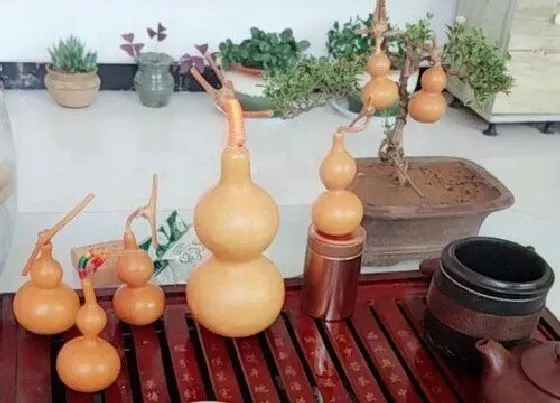 风水百科|木葫芦的风水作用和摆放位置 木葫芦风水禁忌