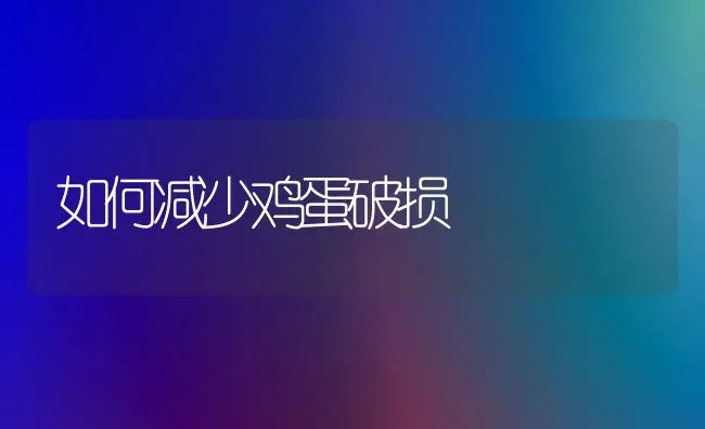 越夏番茄要做好保花保果措施 | 瓜果种植