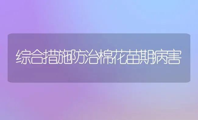综合措施防治棉花苗期病害 | 粮油作物种植