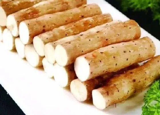 食用技巧|铁棍山药怎么挑选好吃的