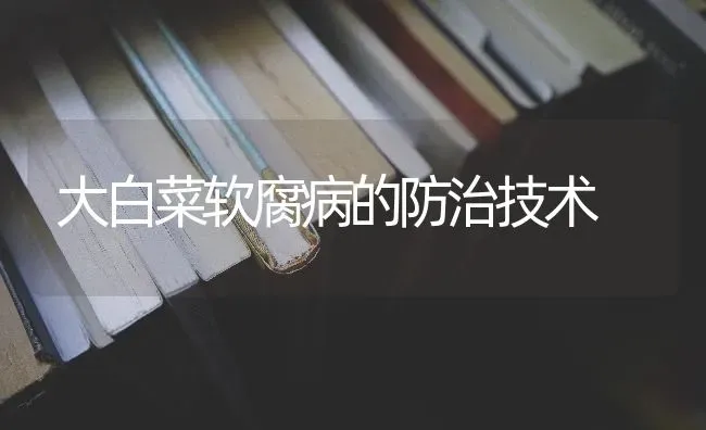 大白菜软腐病的防治技术 | 蔬菜种植
