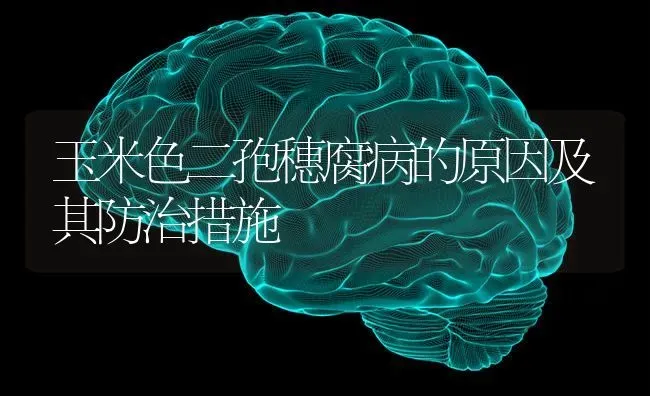 玉米色二孢穗腐病的原因及其防治措施 | 粮油作物种植