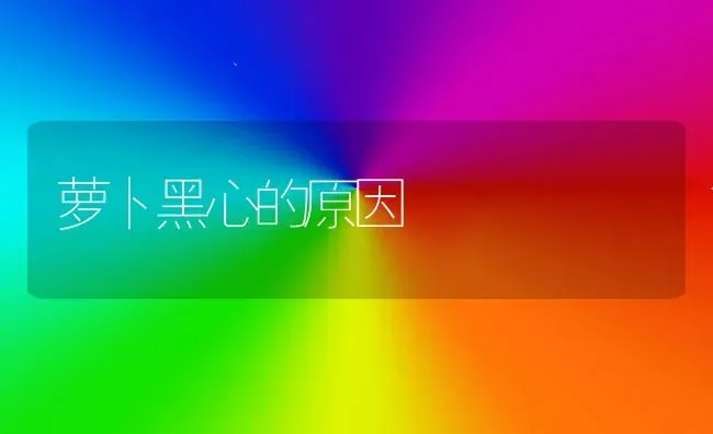 萝卜黑心的原因 | 蔬菜种植