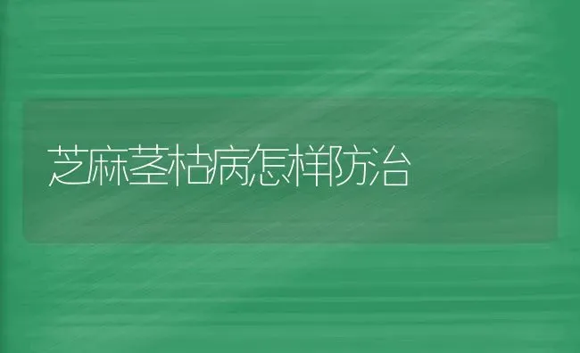 芝麻茎枯病怎样防治 | 粮油作物种植