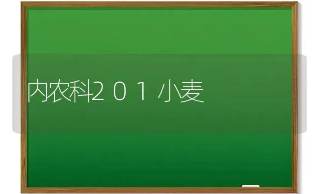 内农科201小麦 | 粮油作物种植