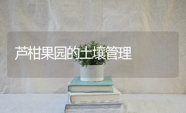 芦柑果园的土壤管理 | 瓜果种植