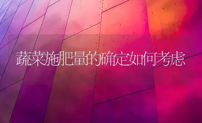 蔬菜施肥量的确定如何考虑 | 蔬菜种植