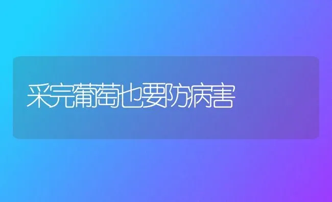 采完葡萄也要防病害 | 瓜果种植