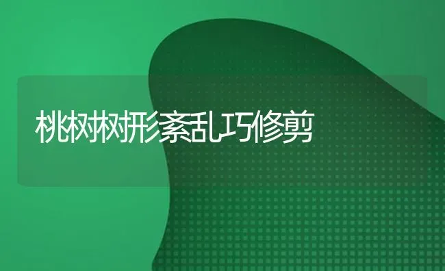 桃树树形紊乱巧修剪 | 瓜果种植