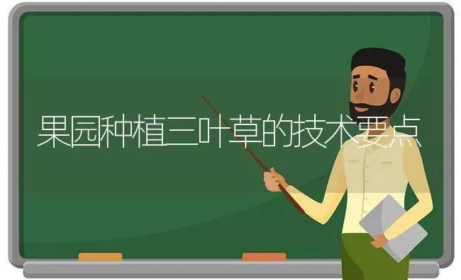 果园种植三叶草的技术要点 | 瓜果种植