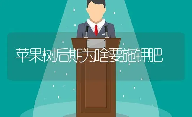 苹果树后期为啥要施钾肥 | 瓜果种植
