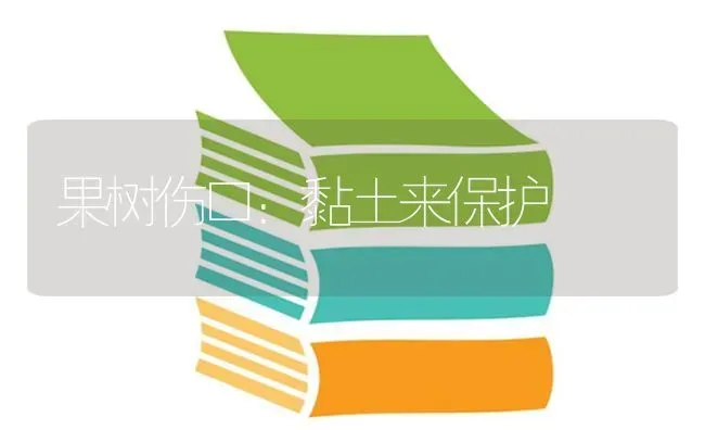 果树伤口：黏土来保护 | 瓜果种植