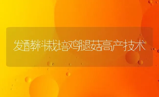 发酵料栽培鸡腿菇高产技术 | 食用菌种植