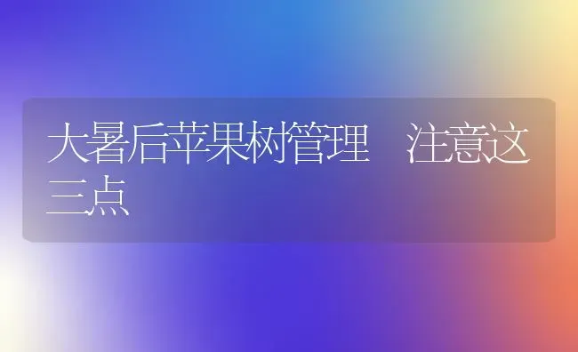 大暑后苹果树管理 注意这三点 | 瓜果种植