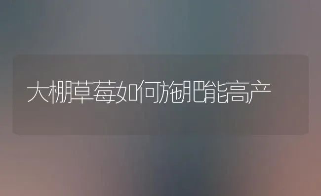 大棚草莓如何施肥能高产 | 种植肥料施肥